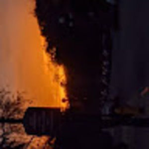 Meet your Posher, Quinlan